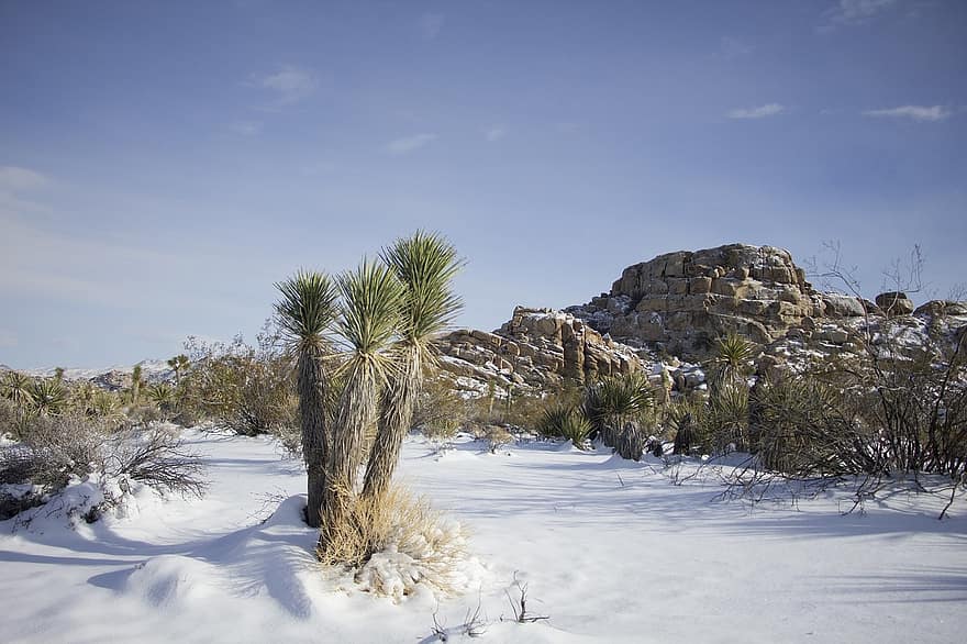 3 destinations à explorer en hiver en&nbsp;Californie